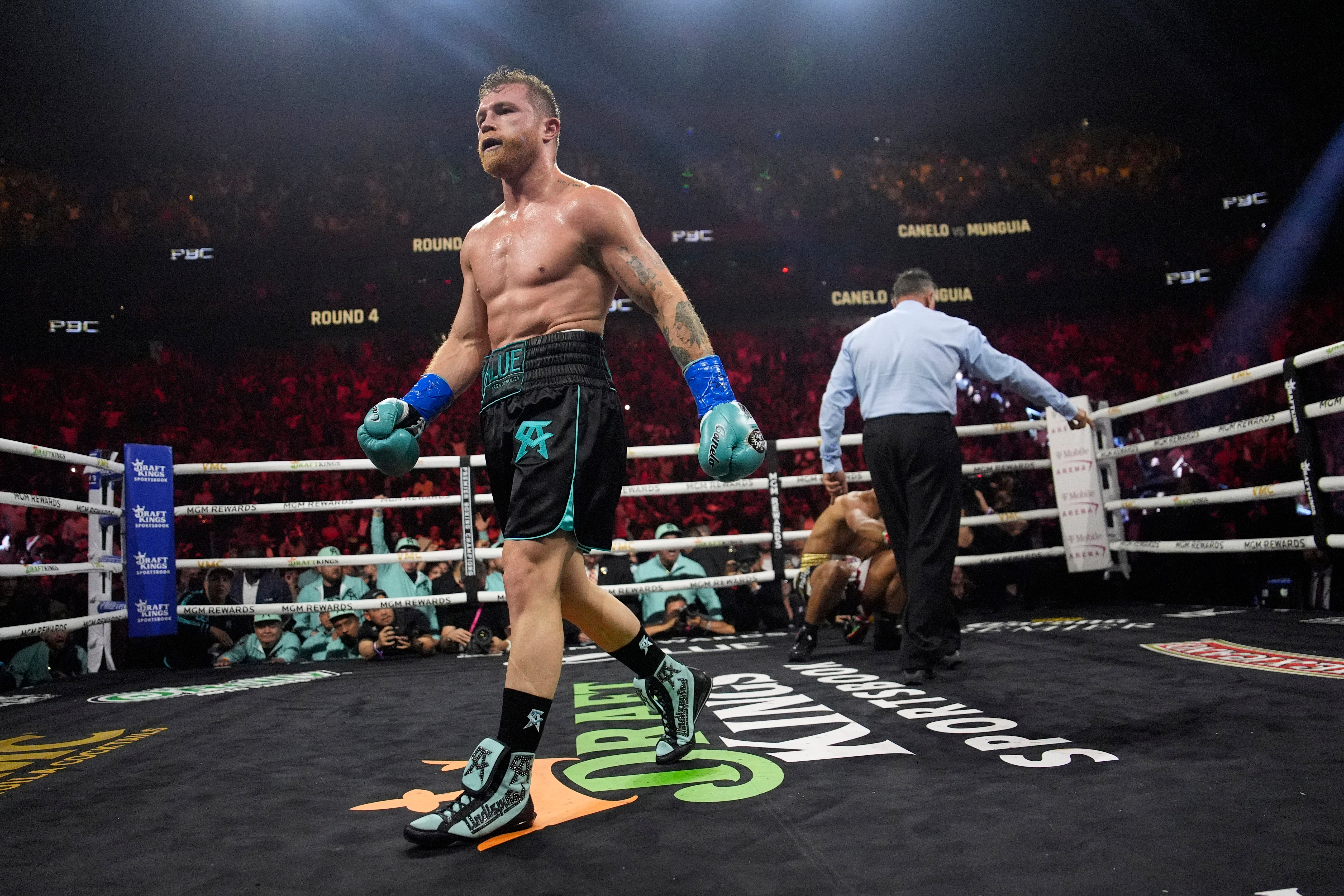 Canelo knocked out compatriot Jaime Munguia en route to victory in May